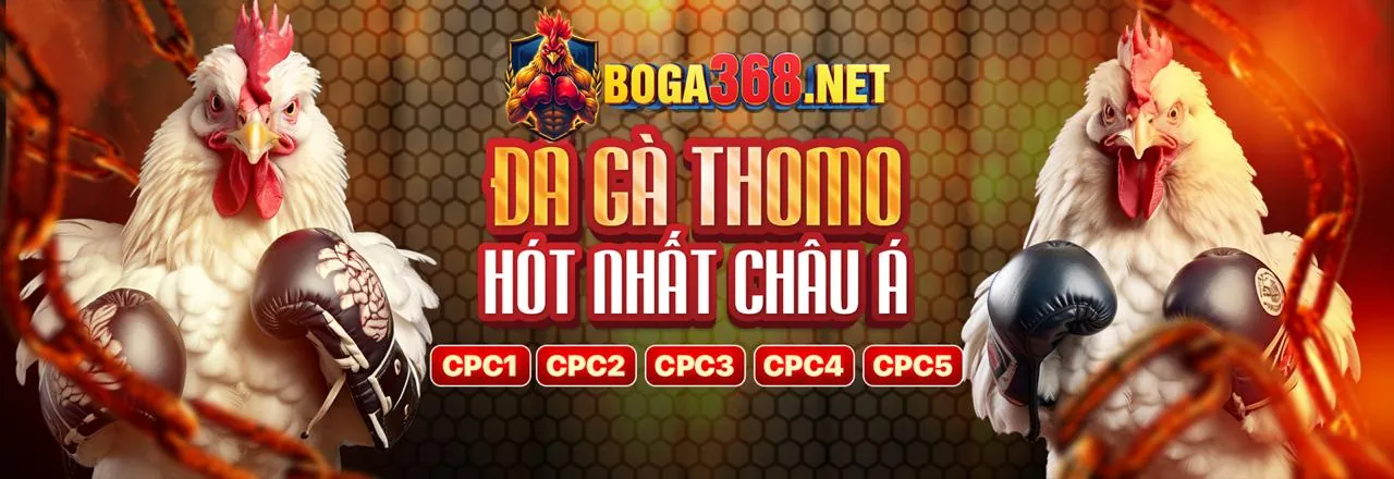 Đá Gà Trực Tuyến Kịch Tính tại 66vn